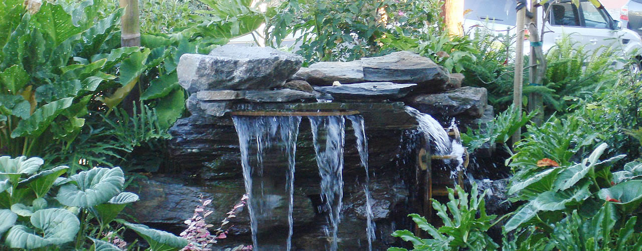 Back yard landscape 